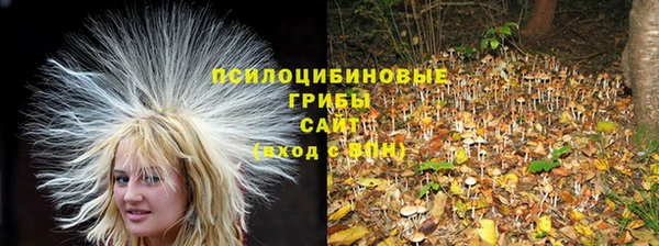 ALPHA PVP Балабаново