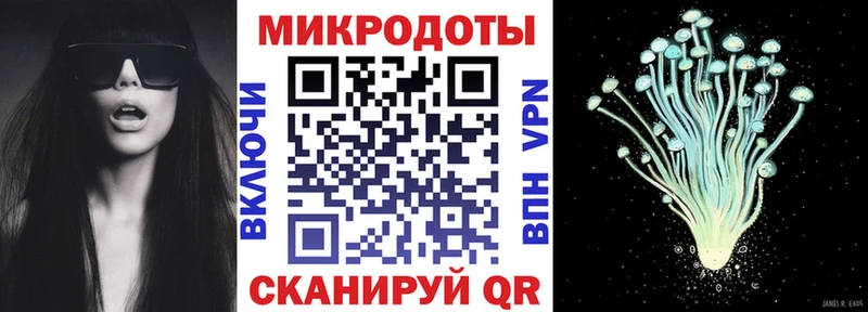 как найти Суворов Галлюциногенные грибы Magic Shrooms